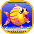 Baby Fish Adventure
