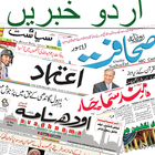 Urdu News India All Newspapers icône