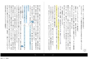 ソニーの電子書籍 Reader™ (Sony Tablet) スクリーンショット 2