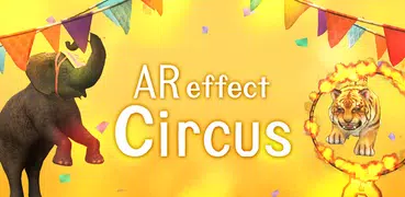 Circus