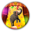 Circo