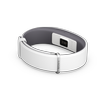 ”SmartBand 2 SWR12