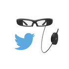 SmartEyeglass Twitter icône
