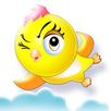 Fly Training Game APK