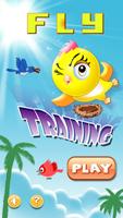 Fly Training Game Affiche