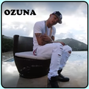 En La Intimidad - Ozuna APK