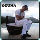 En La Intimidad - Ozuna icône