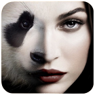 Animal Faces - Face Morphing icône