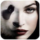 Animal Faces - Face Morphing Zeichen