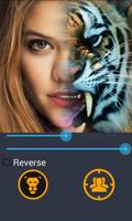 Animal Faces - Face Morphing โปสเตอร์