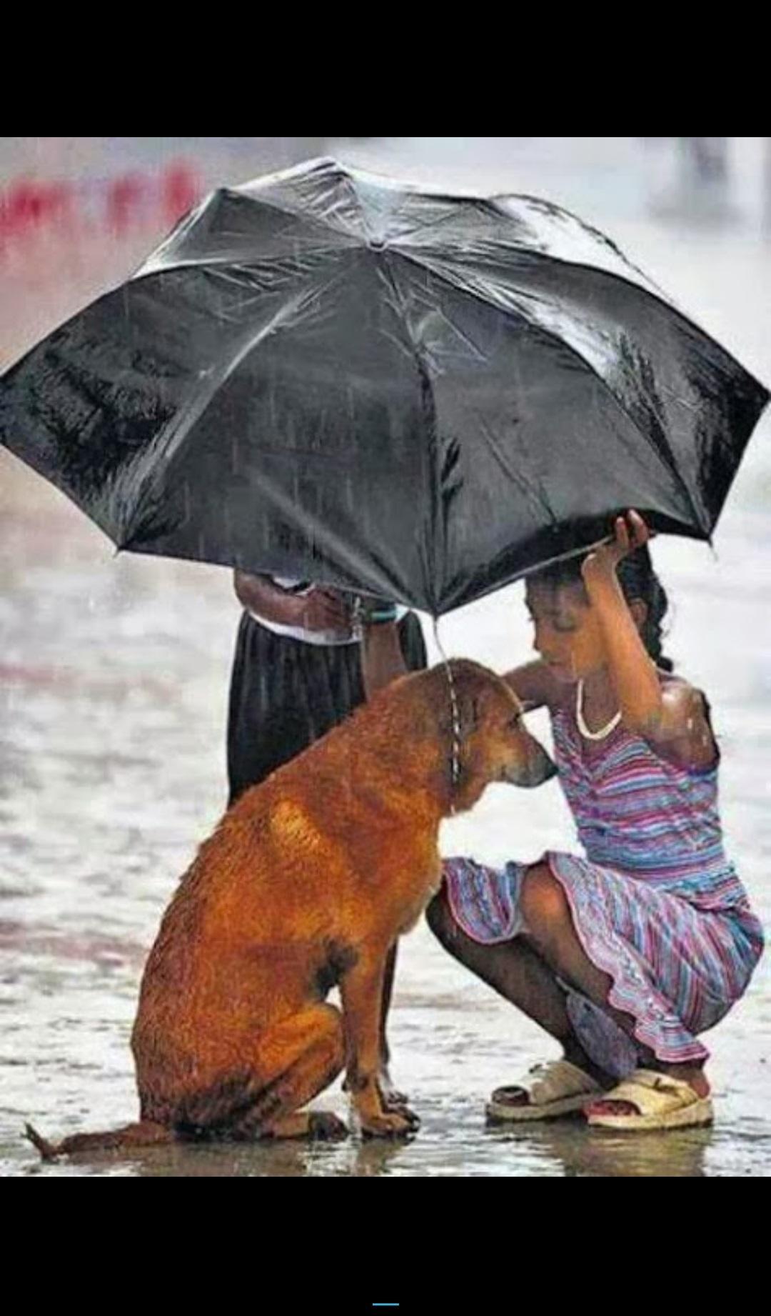 If you show kindness an animal it