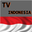 Indonesia Channels TV Info
