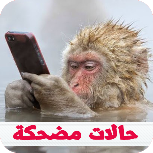 منشورات فيسبوك و حالات واتس اب مضحكة 2018