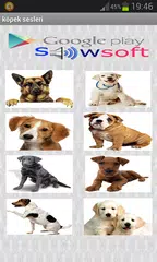 Скачать Звуки собак APK