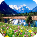 Fondos de primavera APK
