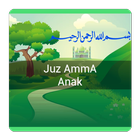 Juz Amma Offline Audio icône