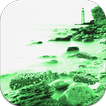Find Sea cucumber HD Simulator