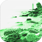 Find Sea cucumber HD Simulator icône