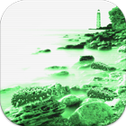 Find Sea cucumber HD Simulator Zeichen