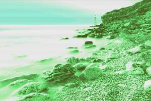 Find Sea cucumber HD Simulator Screenshot 2