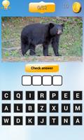 Sound and Picture Animal Quiz ภาพหน้าจอ 3