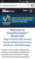 Sound Synergies Cartaz
