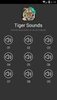 Tiger Sounds 포스터