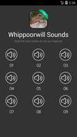 Whip-poor-will bird (animal) sounds Affiche