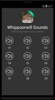 Whip-poor-will bird (animal) sounds capture d'écran 3