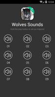 Wolf (animal) Sounds poster