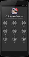Chickadee bird sounds Affiche