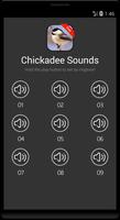 Chickadee bird sounds syot layar 3