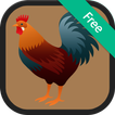 Chicken Sounds and Ringtones
