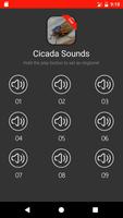Cicada Sounds capture d'écran 3