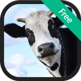 Cow Sounds ไอคอน