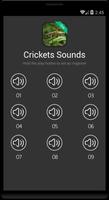 Crickets Sounds syot layar 3