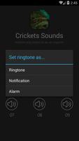 Crickets Sounds syot layar 1