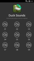 Duck Sounds Affiche