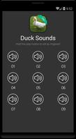 Duck Sounds capture d'écran 2