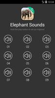 Elephant Sounds Affiche