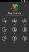 Fox Sounds Affiche