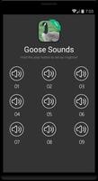 Goose & Geese Sounds capture d'écran 3