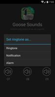 Goose & Geese Sounds capture d'écran 1