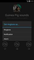 Guinea pig sound and ringtones capture d'écran 1