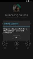 Guinea pig sound and ringtones capture d'écran 2
