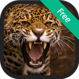 Jaguar Sounds آئیکن
