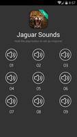 Jaguar Sounds poster