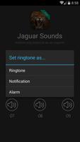 Jaguar Sounds screenshot 1
