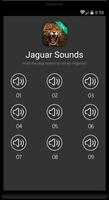 Jaguar Sounds screenshot 3