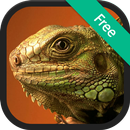 APK Lizard (Animal) Sound Ringtones